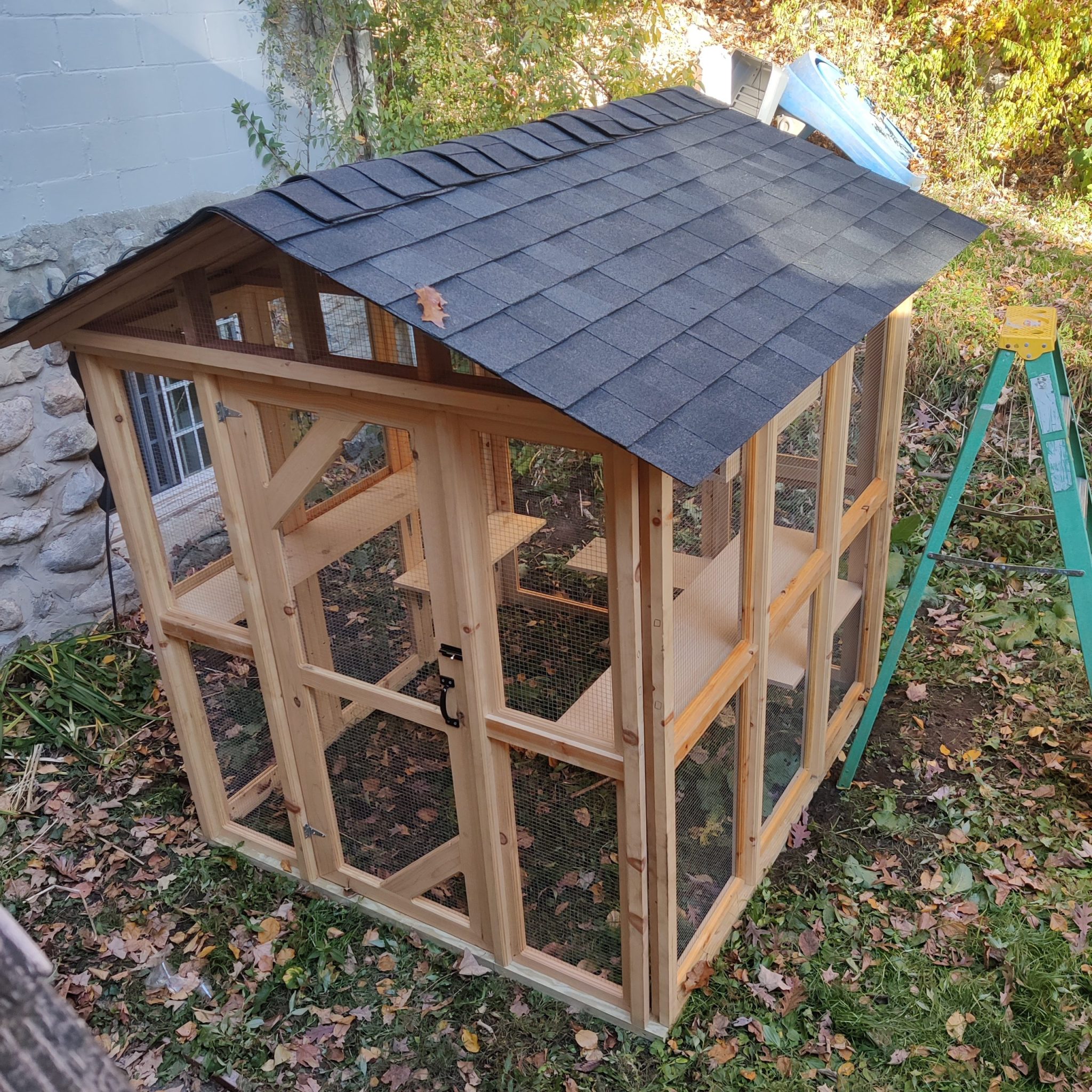 Cat House