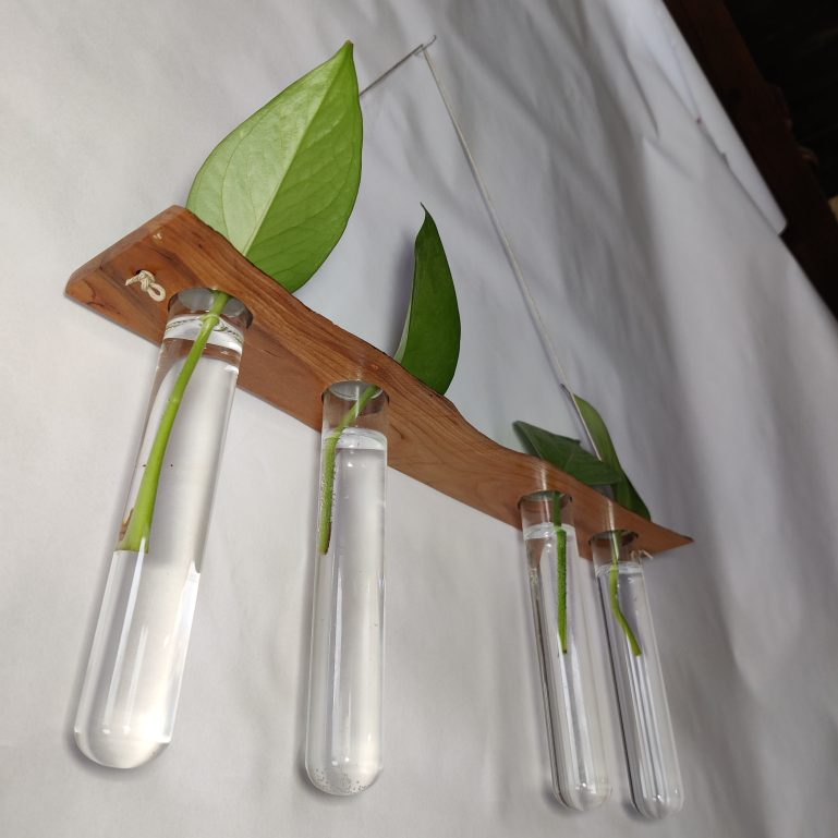 Plant Wall Hanger ⊹ LIVE-EDGE Cherry Wood II 2 Plant Wall Hanger ⊹ LIVE-EDGE Cherry Wood II 2