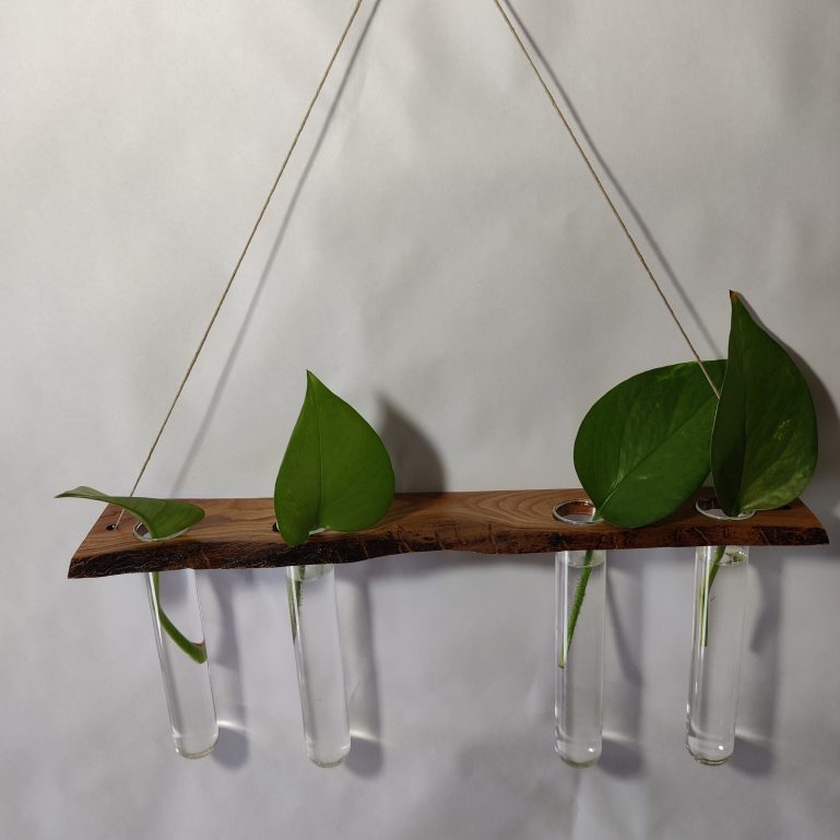 Plant Wall Hanger ⊹ LIVE-EDGE Cherry Wood II 3 Plant Wall Hanger ⊹ LIVE-EDGE Cherry Wood II 3