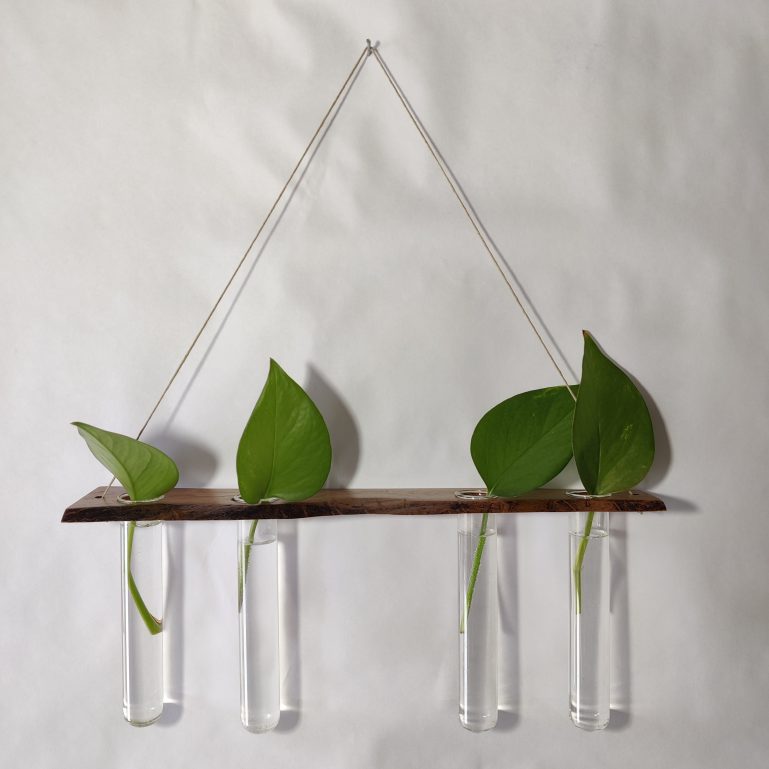 Plant Wall Hanger ⊹ LIVE-EDGE Cherry Wood II 4 Plant Wall Hanger ⊹ LIVE-EDGE Cherry Wood II 4