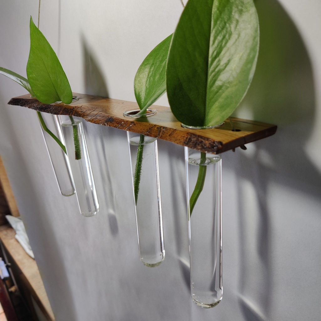 Plant Wall Hanger ⊹ LIVE-EDGE Cherry Wood II