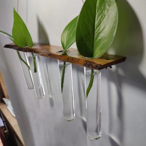 Plant Wall Hanger ⊹ LIVE-EDGE Cherry Wood II
